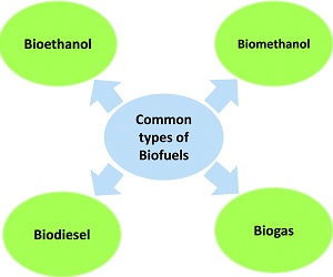 Common Biofuels